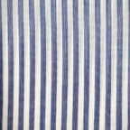 Blue Stripe
